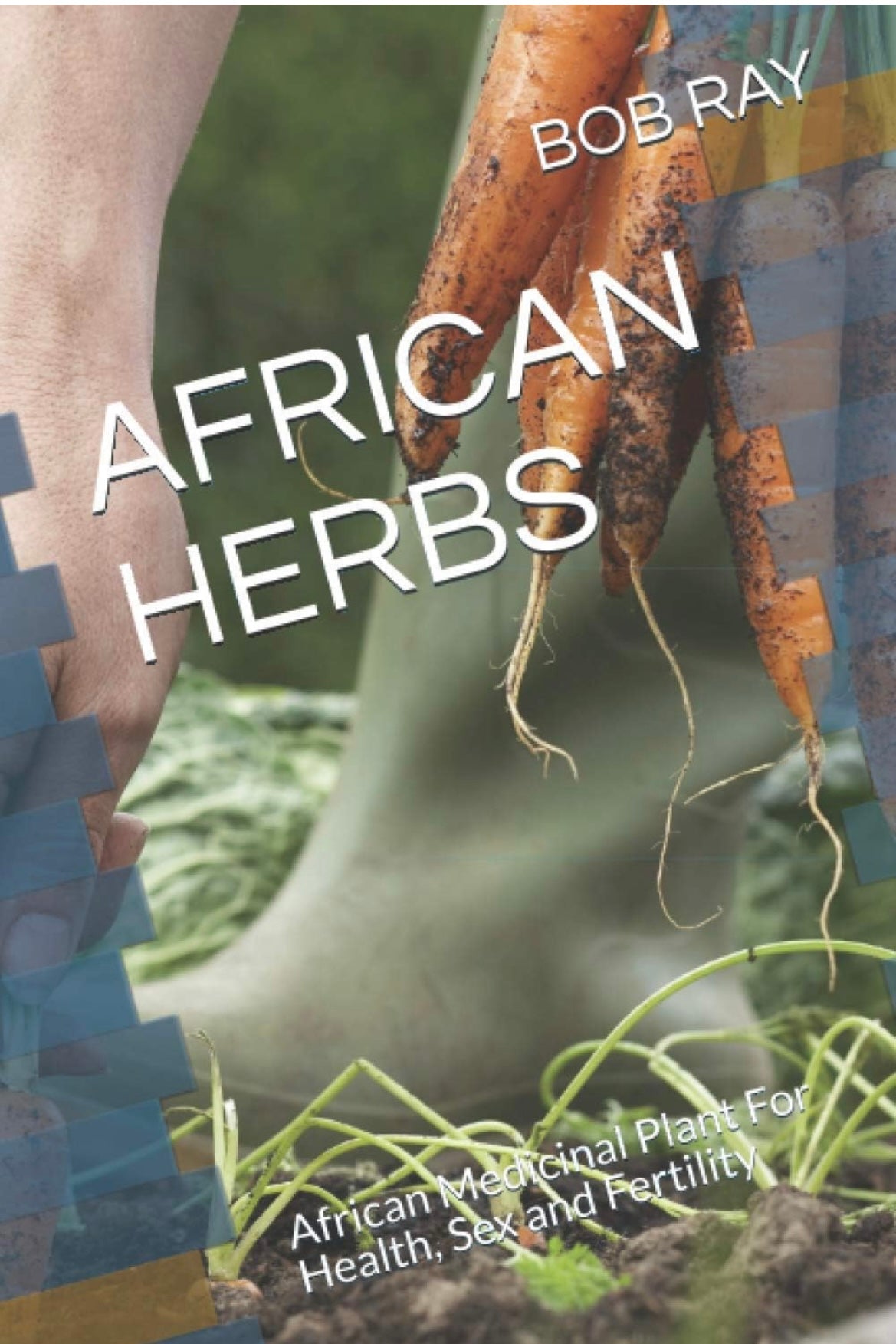 AFRICAN HERBS: African Medicinal Plants for Health Sex amd Fertility by Bob Ray